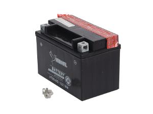 Miniatura 8