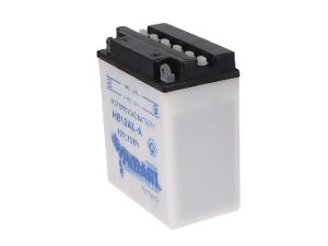 Miniatura 10