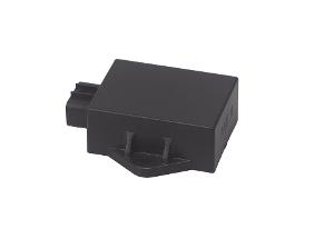 Miniatura 8