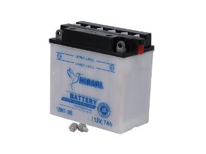 Miniatura 7