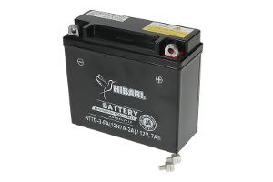 Miniatura 6