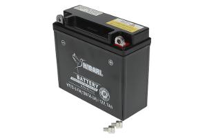 Miniatura 7