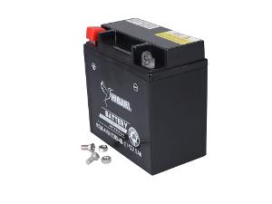 Miniatura 4