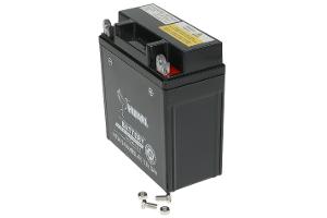 Miniatura 8