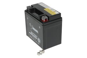 Miniatura 8