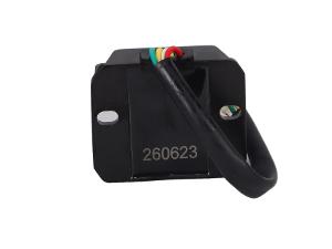 Miniatura 7