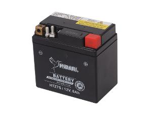 Miniatura 6